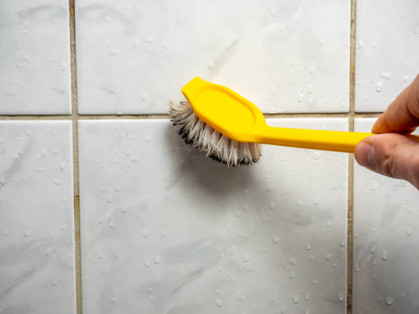 Best Mold Damage Repair  in Williamsburg, VA