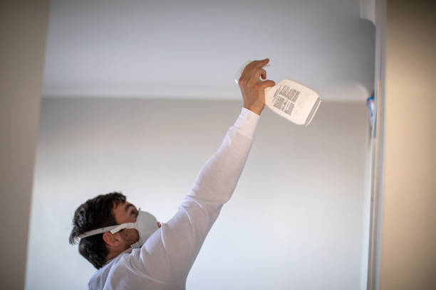 Best Mold Removal Near Me  in Williamsburg, VA