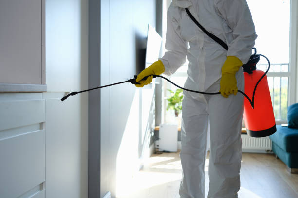 Best Professional Mold Removal  in Williamsburg, VA