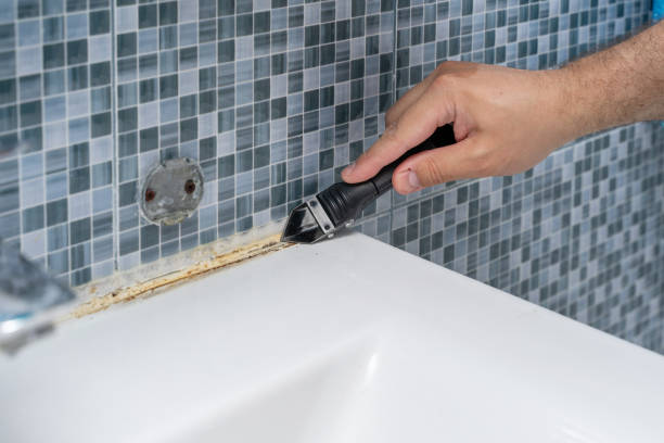 Best Toxic Mold Removal  in Williamsburg, VA