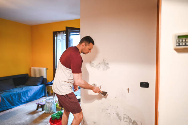 Best Home Mold Removal  in Williamsburg, VA